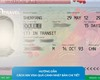 Hướng Dẫn Cách Xin Visa Quá Cảnh Nhật Bản Chi Tiết